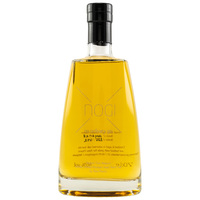 No Ordinary Gin NOG! - Asta Morris