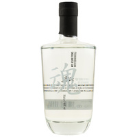 Soul / Tamashi Gin - Asta Morris
