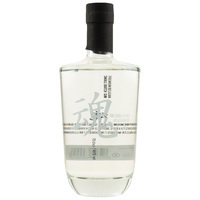 Soul / Tamashi Gin - Asta Morris